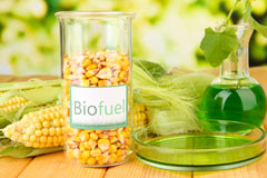 Llangenny biofuel availability