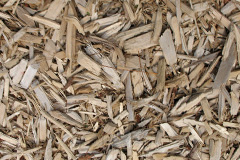 biomass boilers Llangenny